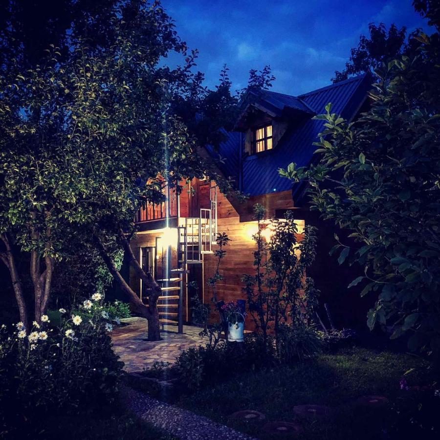 Blue Village 8 Kolaşin Dış mekan fotoğraf