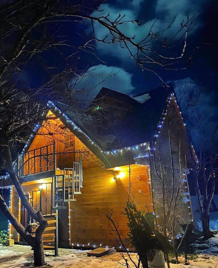 Blue Village 8 Kolaşin Dış mekan fotoğraf