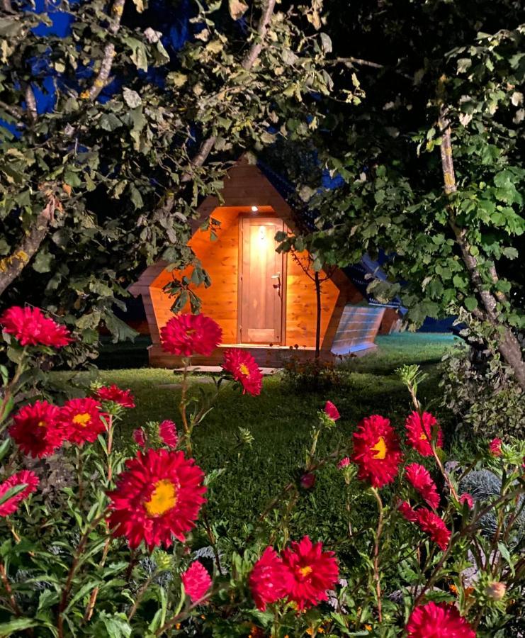 Blue Village 8 Kolaşin Dış mekan fotoğraf