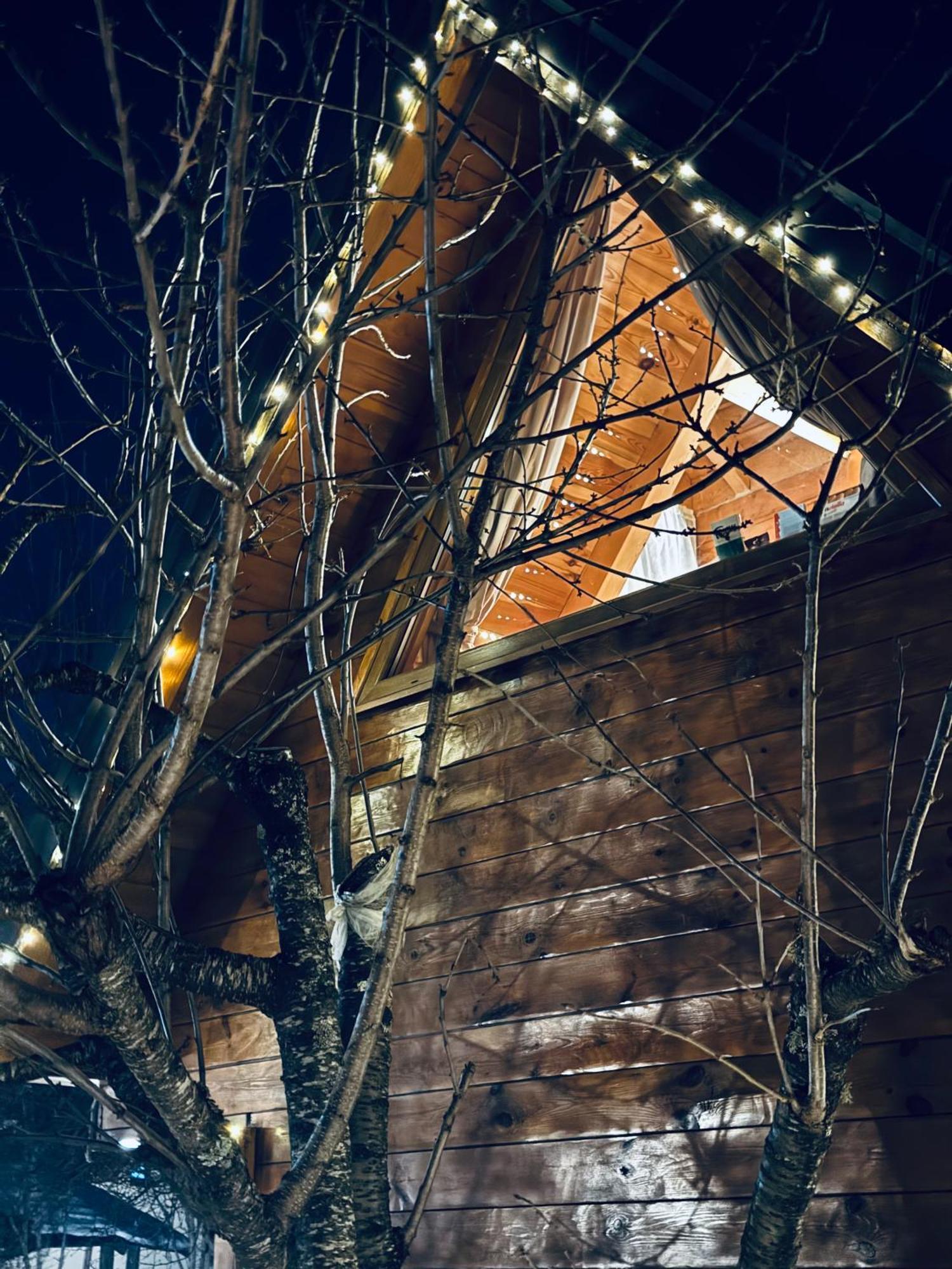 Blue Village 8 Kolaşin Dış mekan fotoğraf