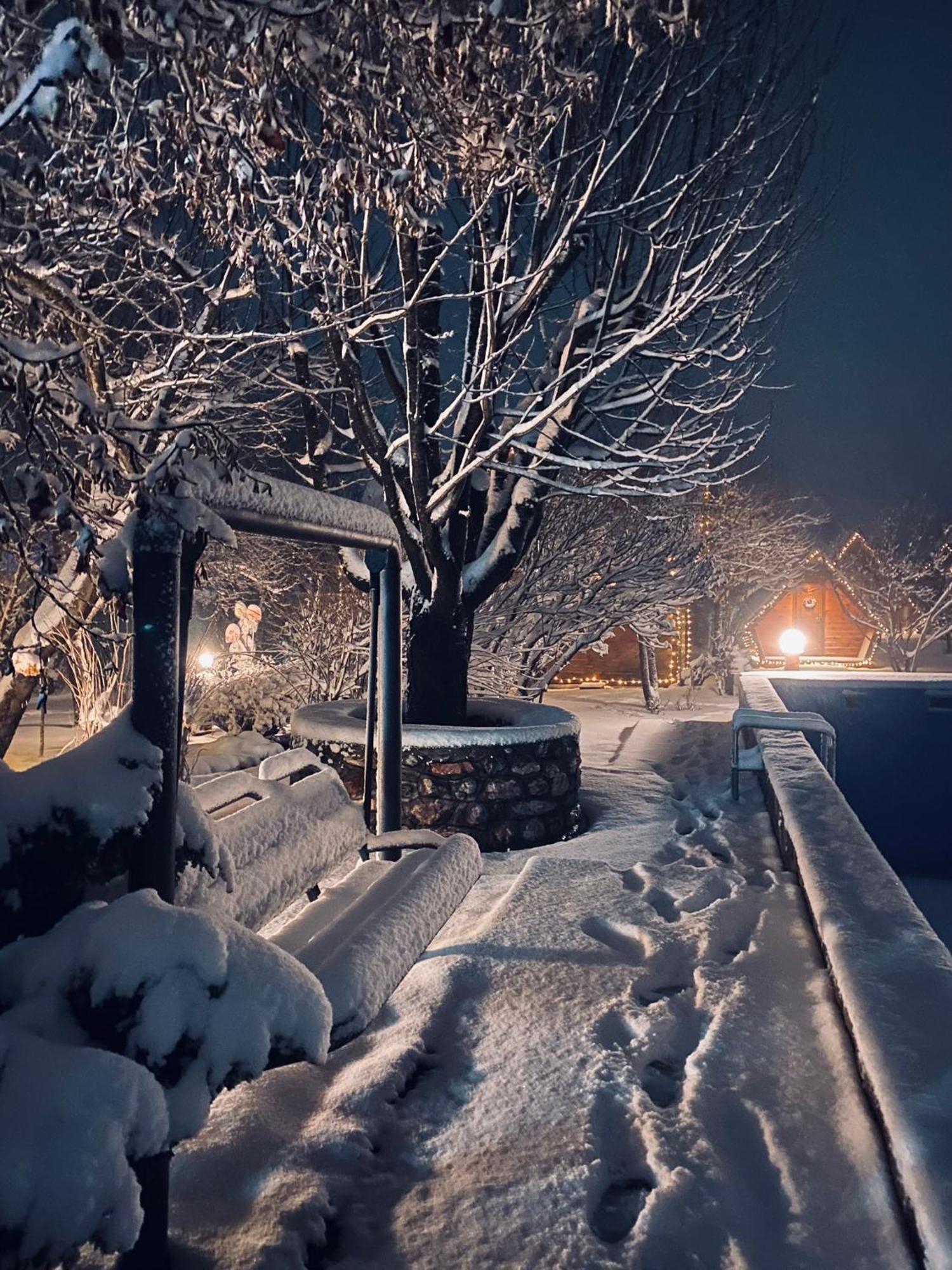 Blue Village 8 Kolaşin Dış mekan fotoğraf