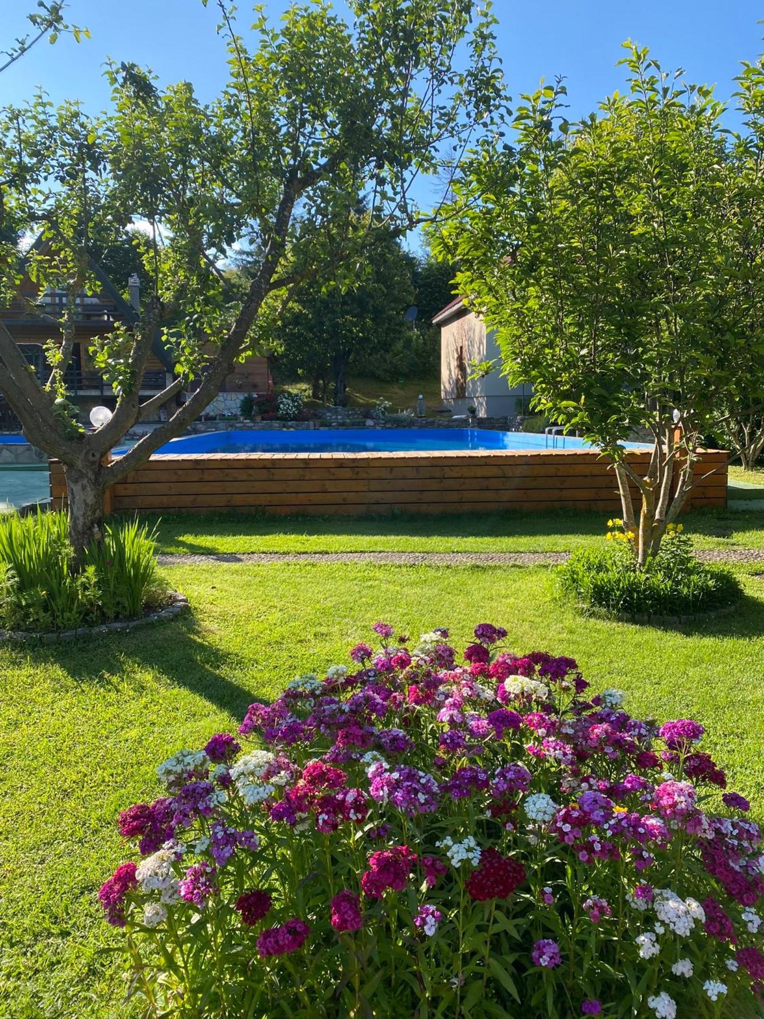 Blue Village 8 Kolaşin Dış mekan fotoğraf